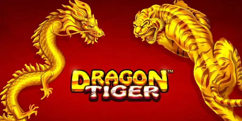 Làm Chủ Dragon Tiger Với 4 Chiến Thuật Cược Cơ Bản